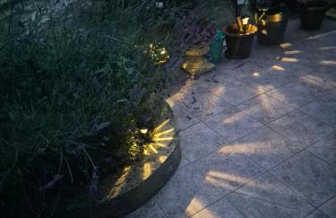Leona's paradise - Photo 4
