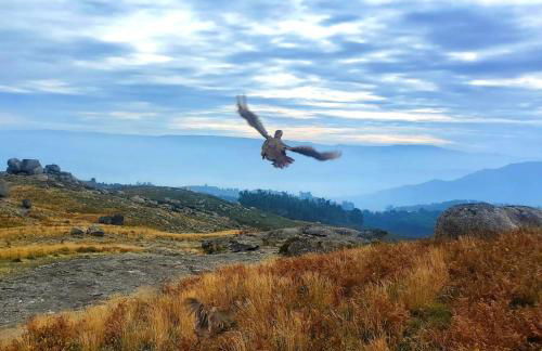 Casa da Torre - Natureza, Cultura e Aventura no Norte de Portugal - Foto 78