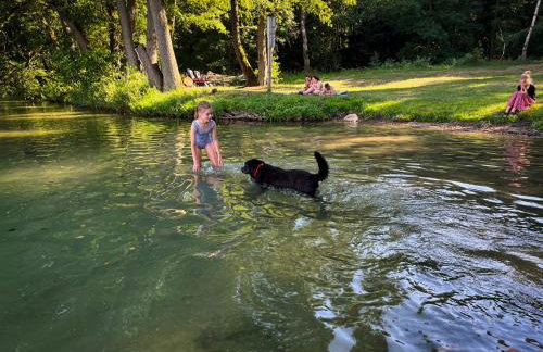 Farma Jamienko - Foto 28