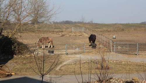 Ferienwohnung Pusteblume - Photo 3