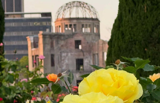 Visita guiada por Hiroshima - Foto 7