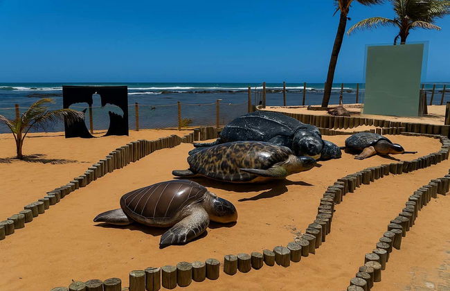 Excursion à Praia do Forte et Guarajuba - Photo 7