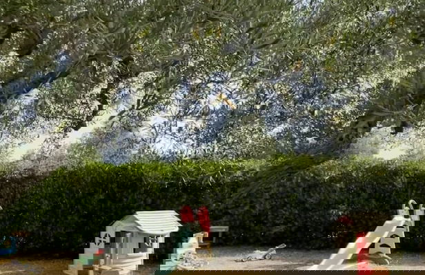 Casale Torre San Magno - Foto 77