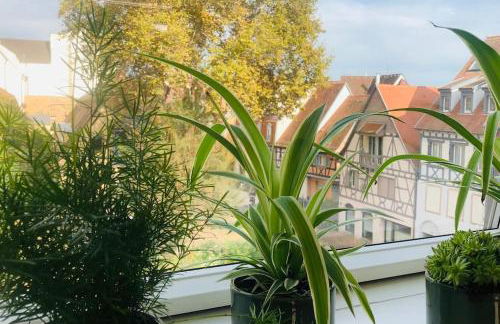 Les Murmures des Toits - Hypercentre - garage privé - Foto 15