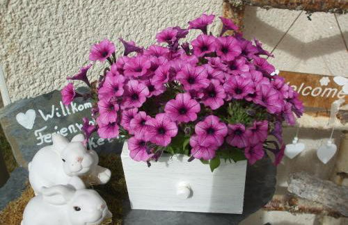 Ferienwohnung Hankeln - Foto 24