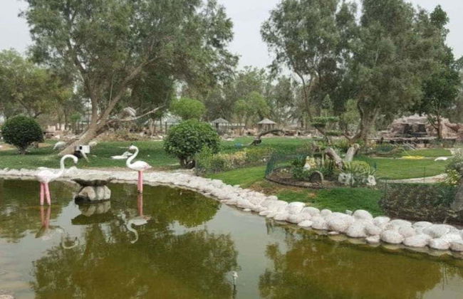 Excursión privada al desierto de Sakhir - Foto 7