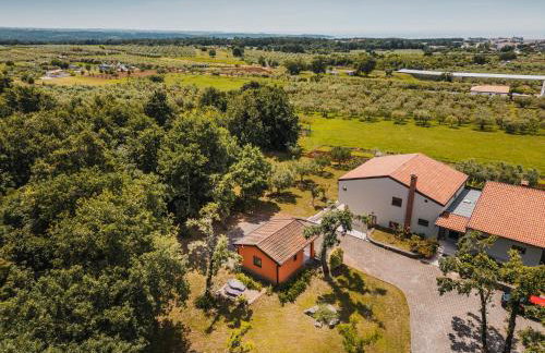 Apartments Olea - Foto 9