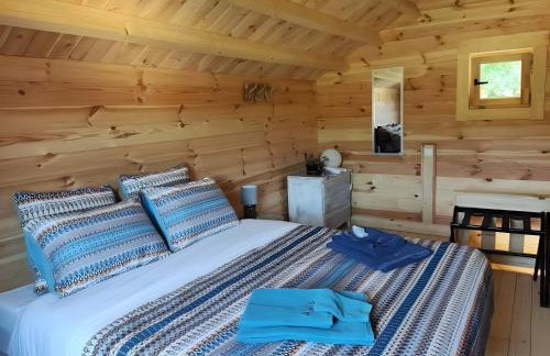 Au chant des oiseaux - rouge gorge - Foto 2