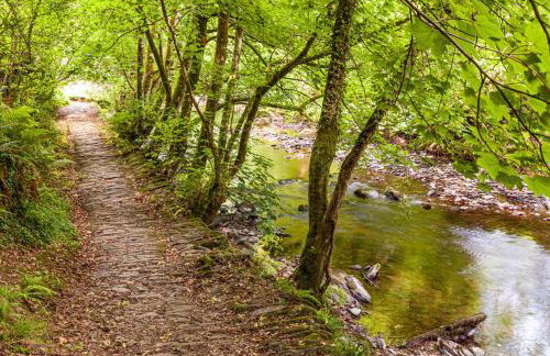 Private 7 bed wing of former farmhouse, edge of Exmoor, sleeps 16 - Foto 18