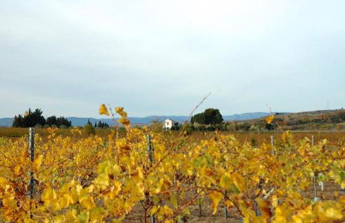 Le Petit Viala - Foto 36