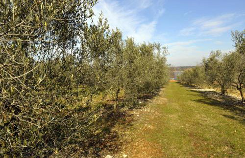 Holiday House Lena - Foto 16