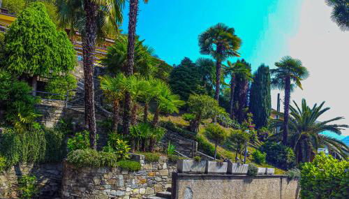 Vista Maccagno - Foto 3, Other