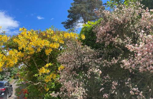 Ferienhaus Chalet Andante - Foto 12