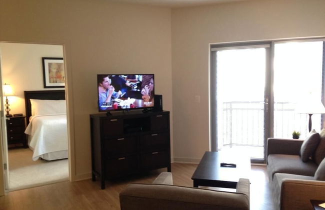 National at Tysons II - Photo 6