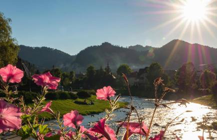 FAJNE CHATY - rodzinny wypoczynek w górach - Foto 53