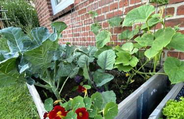 Ferienwohnung an der Hohwachter Bucht - Foto 13