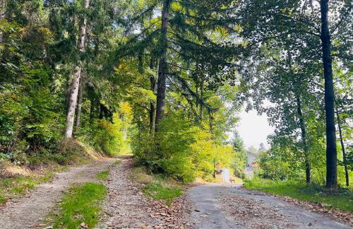 Ferienwohnung Traum am Berg - Foto 18