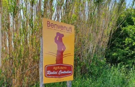 Agriturismo Radici Contadine - Foto 8