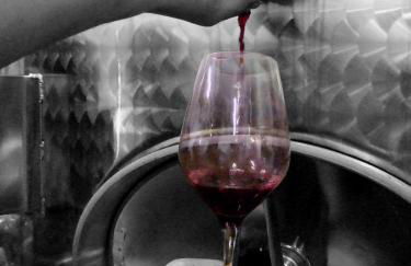 AGRITURISMO Casa Riz - Foto 33