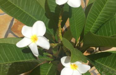 Apartamentos San Jose - Foto 50