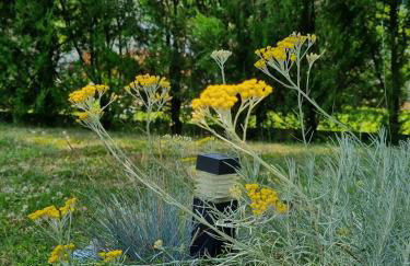 House Notturno - Photo 6