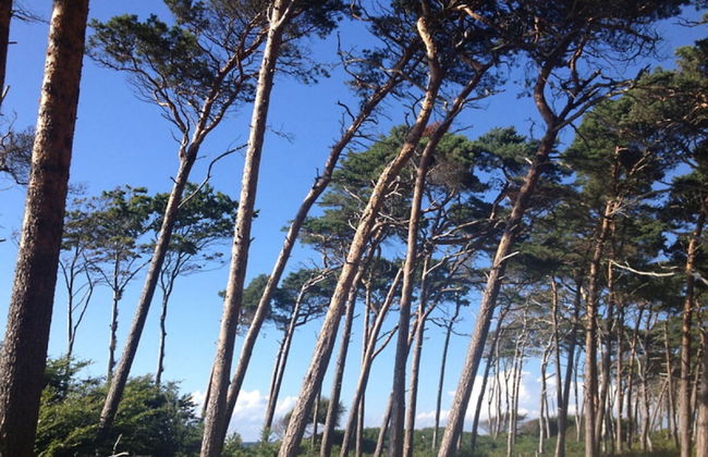 Holiday Apartment Haus Sundevit - Foto 12