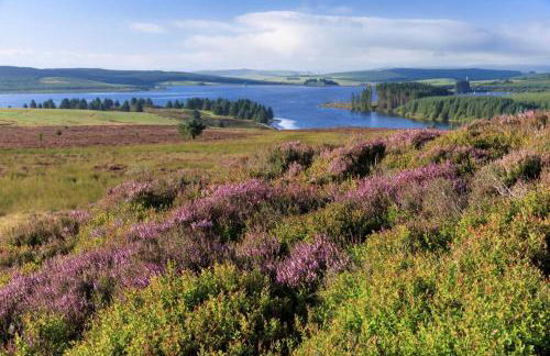 3 Bed in Ruthin oc-a29313 - Photo 34