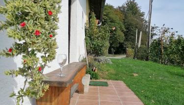 Rural house above the forest - Foto 4