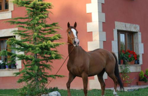 CASUCAS LA GUARIZA (Casa Eva ) - Foto 28