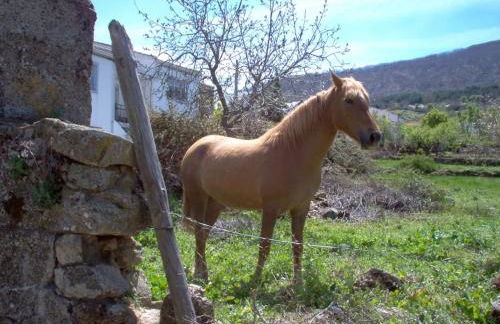 Casa Rural Cristina I - Foto 11