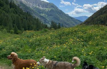 Casa Vacanze La Vite - Foto 40