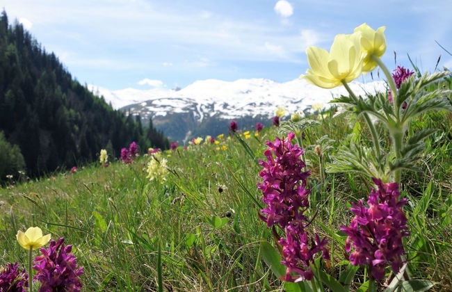 LuxLax 2. OG Süd - Foto 37