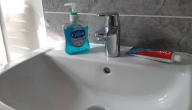 Our Guests Are Royal (KE) - Foto 5