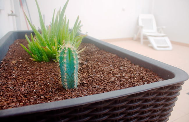 Saudade Peniche Apartment - Foto 28