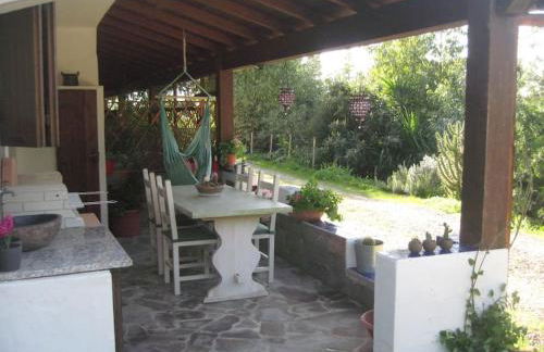 ROBY’s NEST - Foto 17