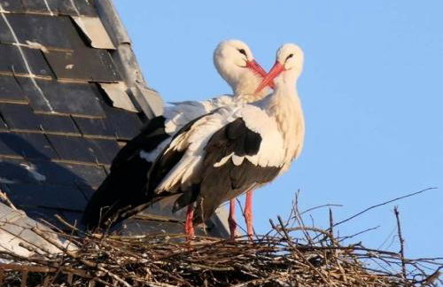 Chez Michèle et Philippe - Foto 14