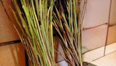 Casa Stefano - Photo 3