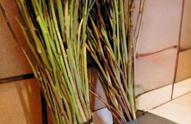 Casa Stefano - Foto 3