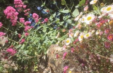 Devon Country Retreat The Linhay at Collaton Farm - Foto 45