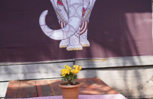 Kadir's Family House - Photo 37