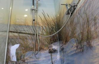 Monteurwohnung Ferienwohnung Rose in Isenbüttel Nähe Gifhorn, Wolfsburg, Braunschweig - Foto 22