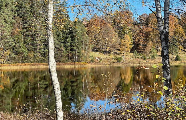 4 Person Holiday Home in Hillerstorp-by Traum - Photo 10