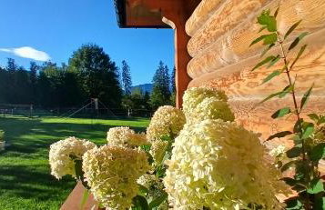 Tatra West Farm - Foto 37