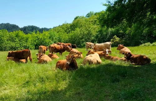 Agriturismo Giandriale - Foto 11