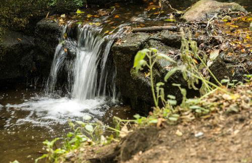 Off Grid Travel at Cambo Estate - Foto 27