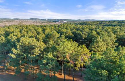 Came Here to Forget Cabin - Foto 58