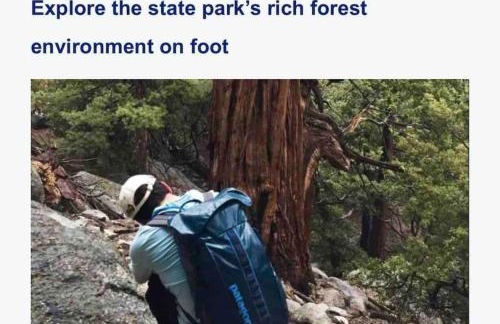 Blissfully Wild -with Hot Tub and pets are welcome - Foto 13