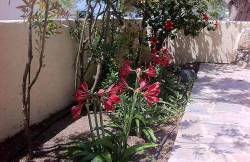 Mini Villas Green - Foto 27