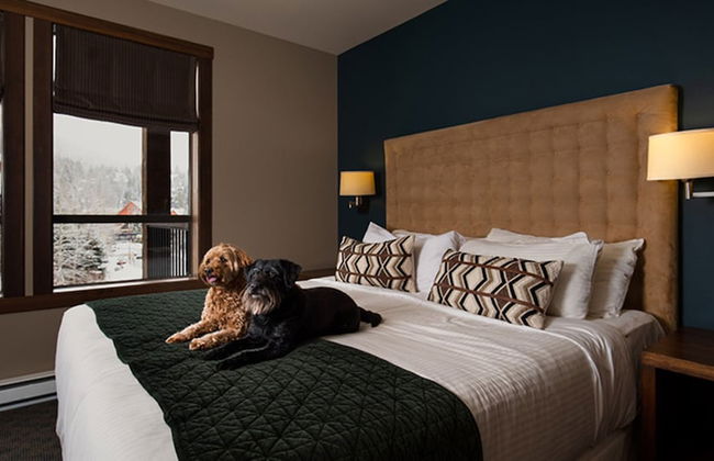 Evolution Whistler, by Lodging Ovations - Foto 4