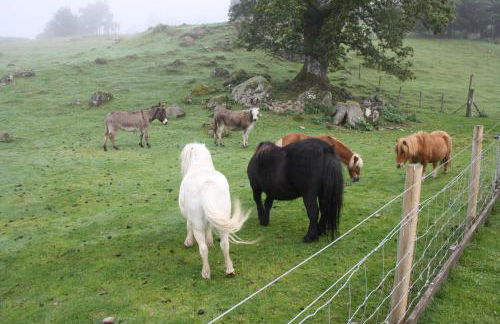 Ardgarry Farm - Photo 46